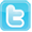 Icon Twitter